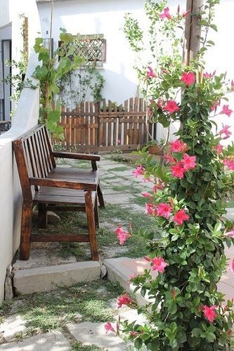 Gelsomino Rooms Ravello Extérieur photo